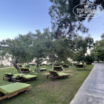 фото из отзыва ID 2729694