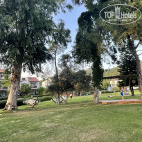 фото из отзыва ID 2729694