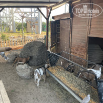 фото из отзыва ID 2729694