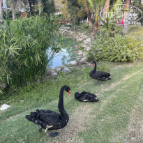 фото из отзыва ID 2729694