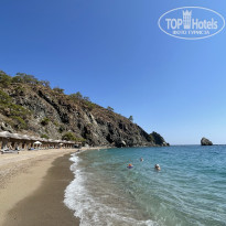 фото из отзыва ID 2729694