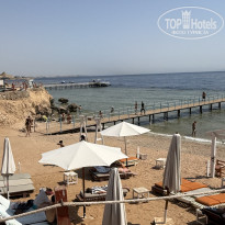 фото из отзыва ID 2729755