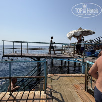 фото из отзыва ID 2729755