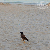 фото из отзыва ID 2729790