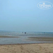 фото из отзыва ID 2729805