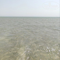 фото из отзыва ID 2729805