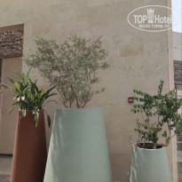 фото из отзыва ID 2729805