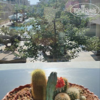 фото из отзыва ID 2729805