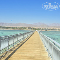 фото из отзыва ID 2729828