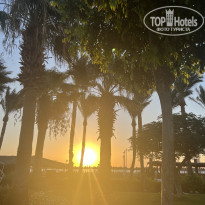 фото из отзыва ID 2729828