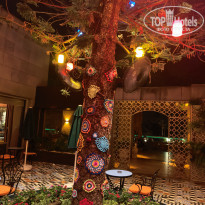 фото из отзыва ID 2729844