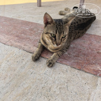 фото из отзыва ID 2729844