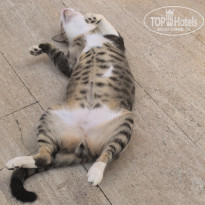 фото из отзыва ID 2729844