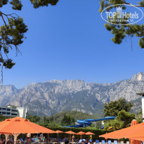 фото из отзыва ID 2729844