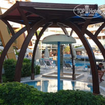 фото из отзыва ID 2729884