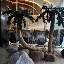 фото из отзыва ID 2729904