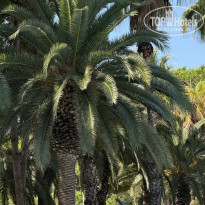 фото из отзыва ID 2729929