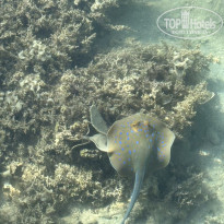 фото из отзыва ID 2729933