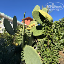 фото из отзыва ID 2729951