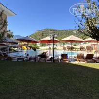 фото из отзыва ID 2729977