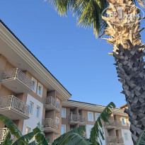 фото из отзыва ID 2729977