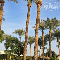 фото из отзыва ID 2729980