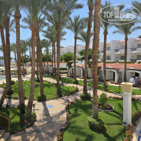 фото из отзыва ID 2729980