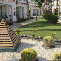 фото из отзыва ID 2729980