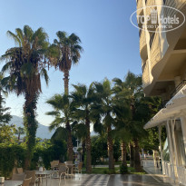 фото из отзыва ID 2729979