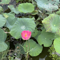 фото из отзыва ID 2729982