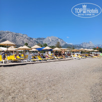 фото из отзыва ID 2729999