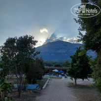 фото из отзыва ID 2729999