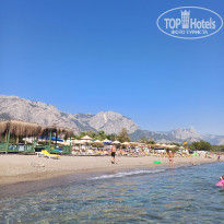 фото из отзыва ID 2729999