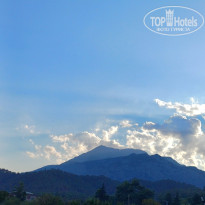 фото из отзыва ID 2729999