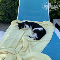 фото из отзыва ID 2729898