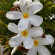 фото из отзыва ID 2722337