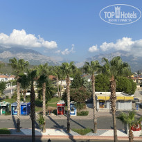 фото из отзыва ID 2729985