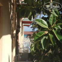 фото из отзыва ID 2727373