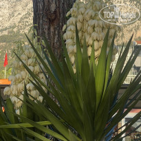 фото из отзыва ID 2722938