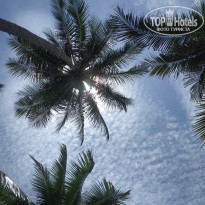 фото из отзыва ID 2729474