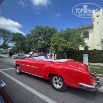 фото из отзыва ID 2728085