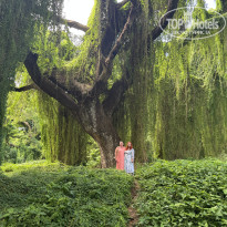 фото из отзыва ID 2728085