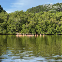 фото из отзыва ID 2728085