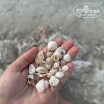 фото из отзыва ID 2728085