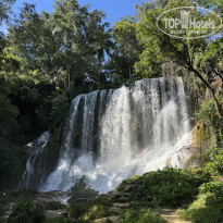 фото из отзыва ID 2728085