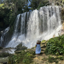 фото из отзыва ID 2728085