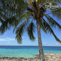 фото из отзыва ID 2728085