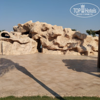 фото из отзыва ID 2725583