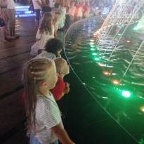 фото из отзыва ID 2725583