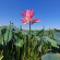 фото из отзыва ID 2725682